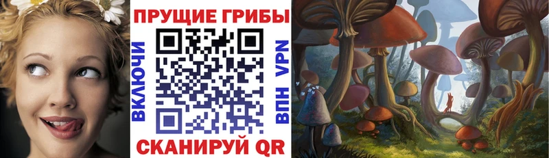 Галлюциногенные грибы GOLDEN TEACHER  где купить наркоту  Зеленоградск 