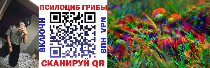 Галлюциногенные грибы прущие грибы Зеленоградск