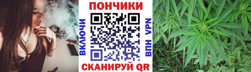 Бошки Шишки гибрид кракен зеркало Зеленоградск